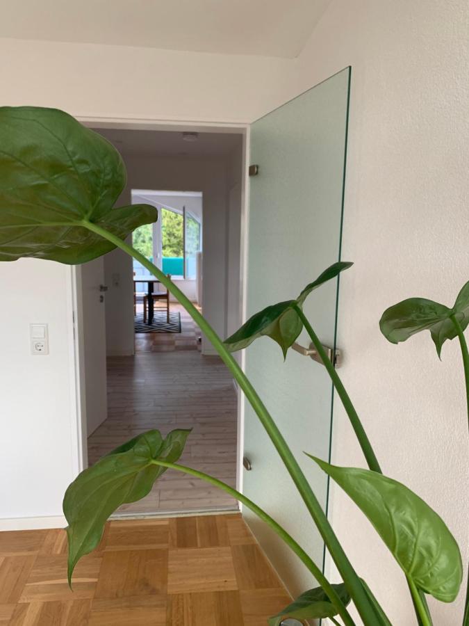 Schoene, Grosse Ferienwohnung Direkt Am Donauradweg & Keltenstadt Heuneburg Herbertingen Екстериор снимка
